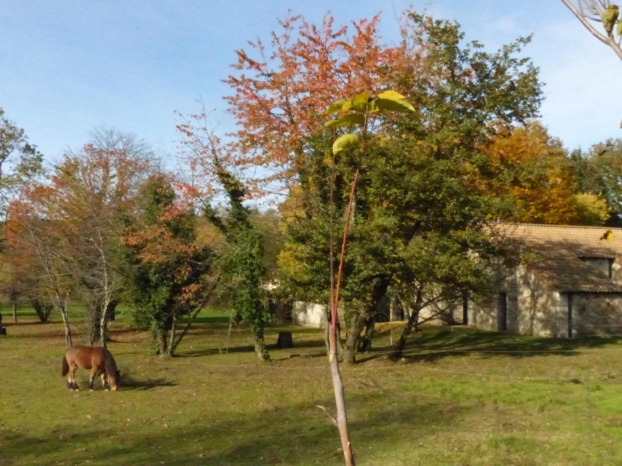 Terres De France - Le Domaine Des Vans Chambonas Exterior photo